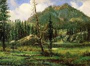 Albert Bierstadt Sierra_Nevada_Mountains oil painting artist